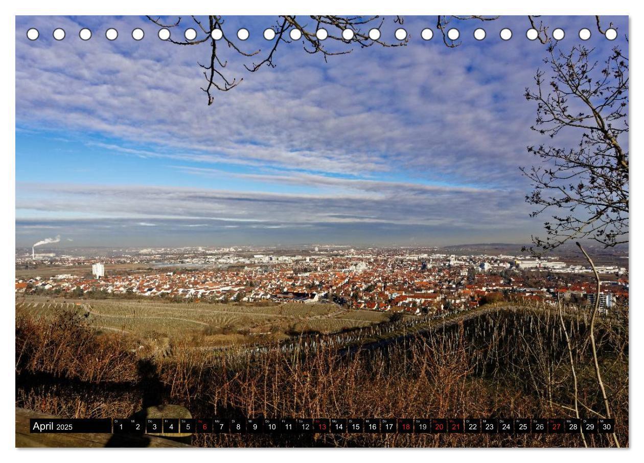 Bild: 9783435619153 | Fellbach im Fokus (Tischkalender 2025 DIN A5 quer), CALVENDO...