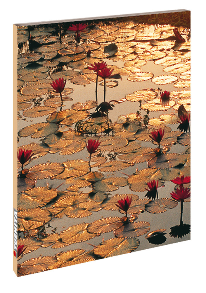 Cover: 9783897896871 | Lotus Pond | Blankbook | Tushita-Verlag | Buch | 144 S. | Deutsch