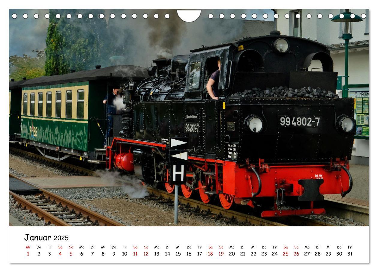 Bild: 9783383932014 | Rügens "rasender Roland" (Wandkalender 2025 DIN A4 quer), CALVENDO...