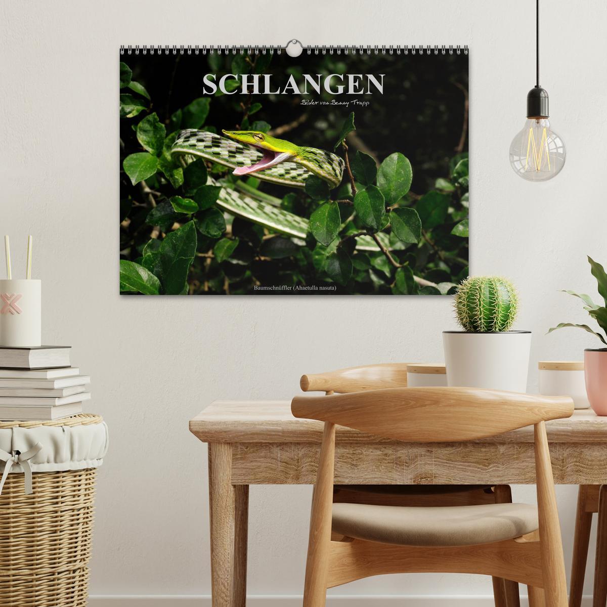 Bild: 9783435773732 | Schlangen (Wandkalender 2025 DIN A3 quer), CALVENDO Monatskalender