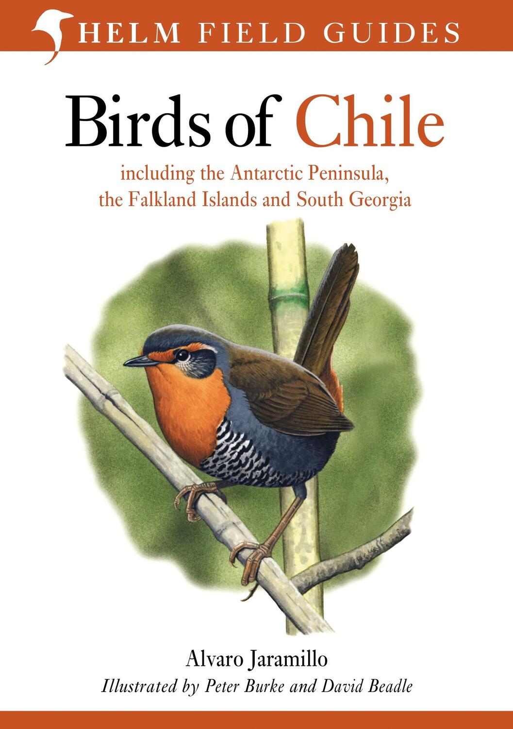 Cover: 9780713646887 | Birds of Chile | Alvaro Jaramillo | Taschenbuch | Helm Field Guides