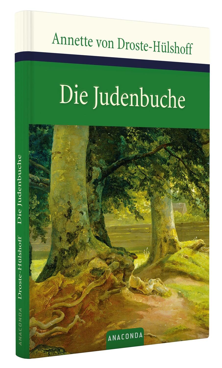Bild: 9783866470507 | Die Judenbuche | Ein Sittengemälde aus dem gebirgigten Westfalen