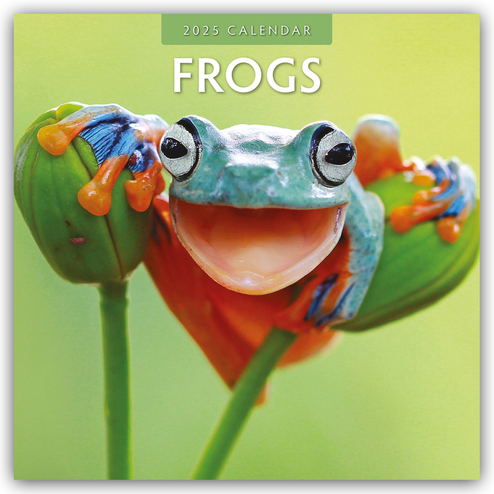 Cover: 9781804423899 | Frogs - Frosch - Frösche 2025 - 16-Monatskalender | Ltd | Kalender