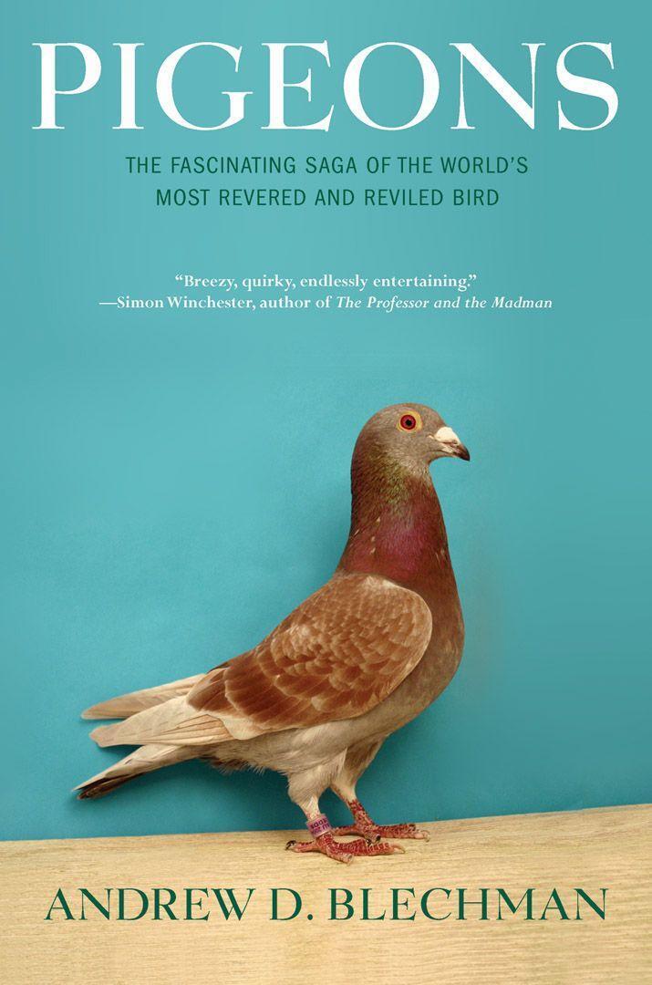 Cover: 9780802143280 | Pigeons | Andrew D Blechman | Taschenbuch | Englisch | 2007