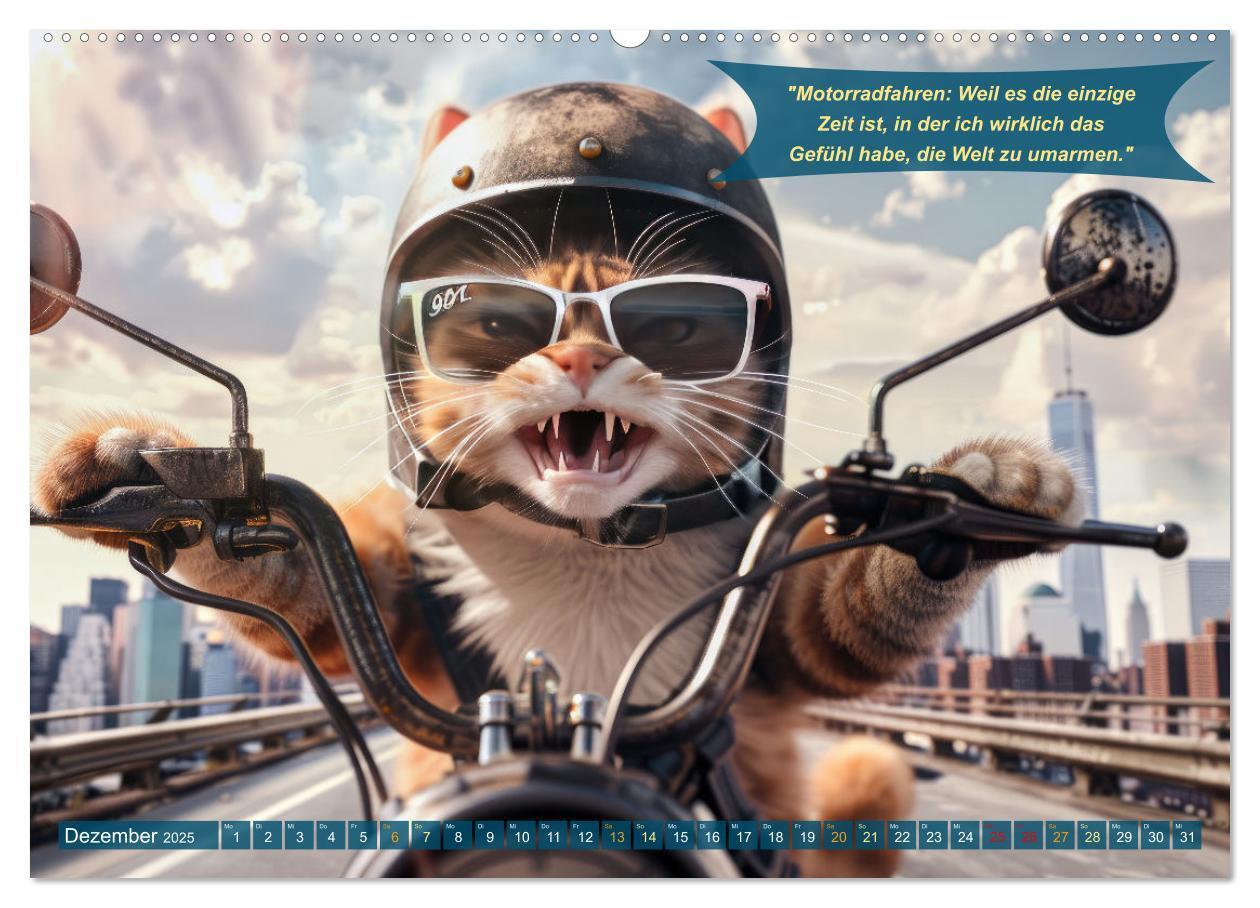 Bild: 9783457166079 | Tierisch lustige Motorradfahrer (Wandkalender 2025 DIN A2 quer),...