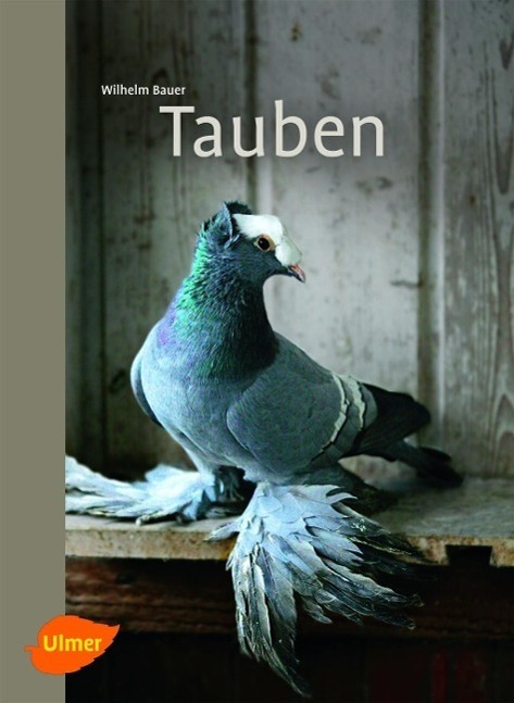 Cover: 9783800179756 | Tauben | Wilhelm Bauer | Taschenbuch | Deutsch | 2013