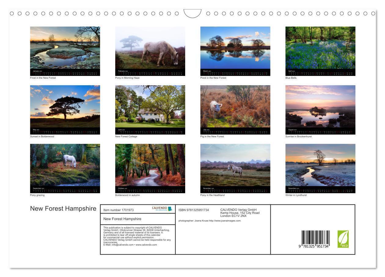 Bild: 9781325951734 | New Forest Hampshire (Wall Calendar 2025 DIN A3 landscape),...