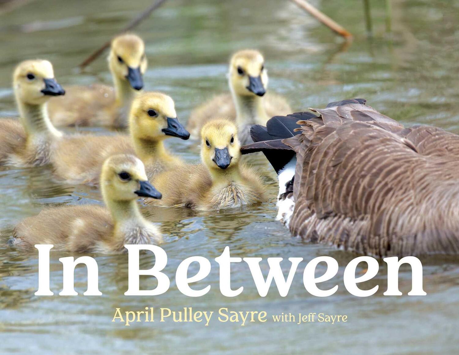 Cover: 9781534487819 | In Between | April Pulley Sayre | Buch | Englisch | 2023