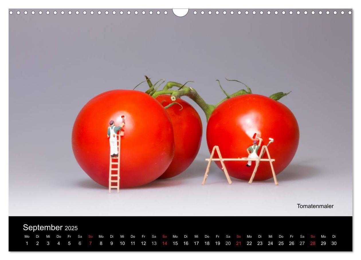 Bild: 9783435583645 | Tomatenmaler ... und andere Mini-Welten (Wandkalender 2025 DIN A3...