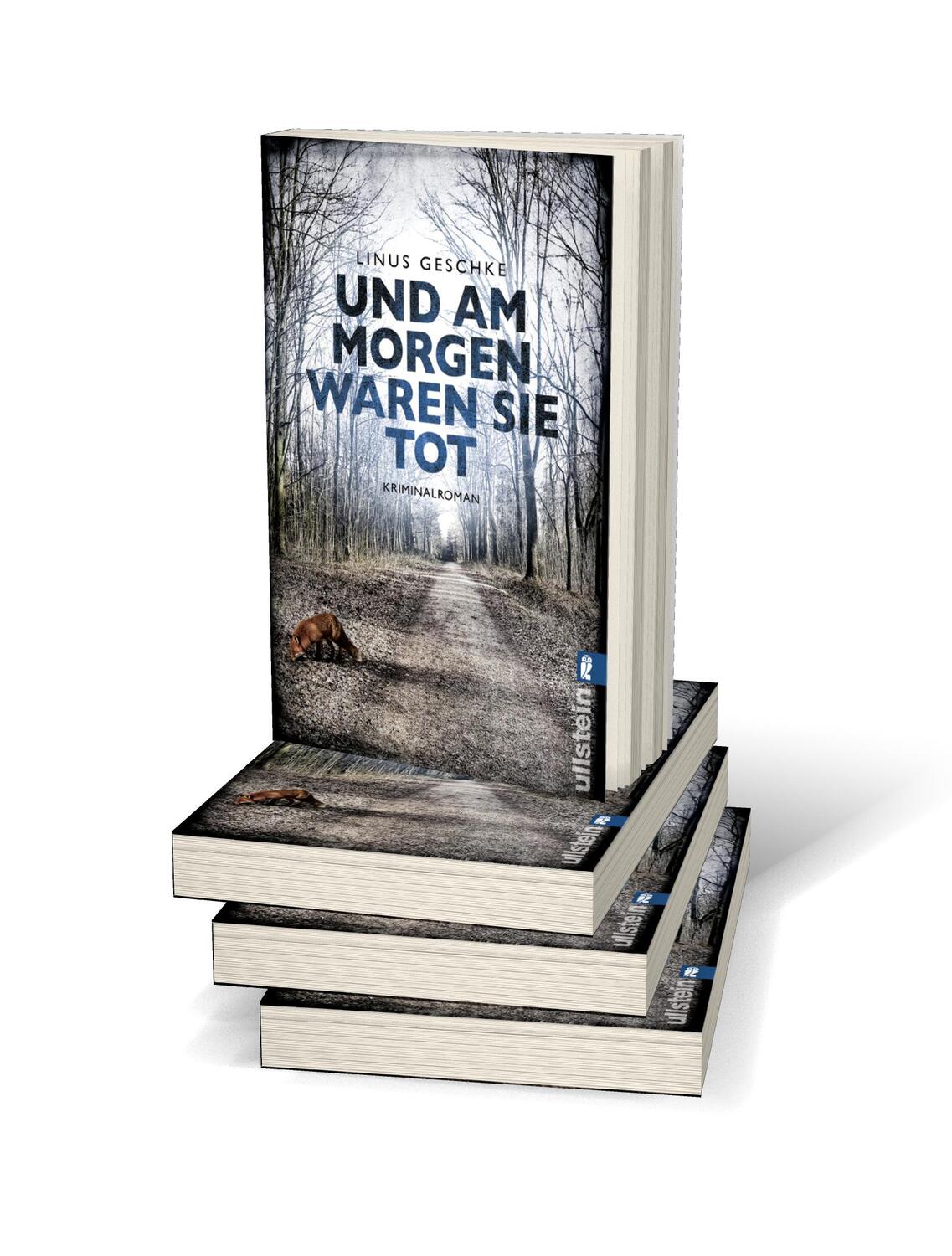 Bild: 9783548287034 | Und am Morgen waren sie tot | Linus Geschke | Taschenbuch | 394 S.