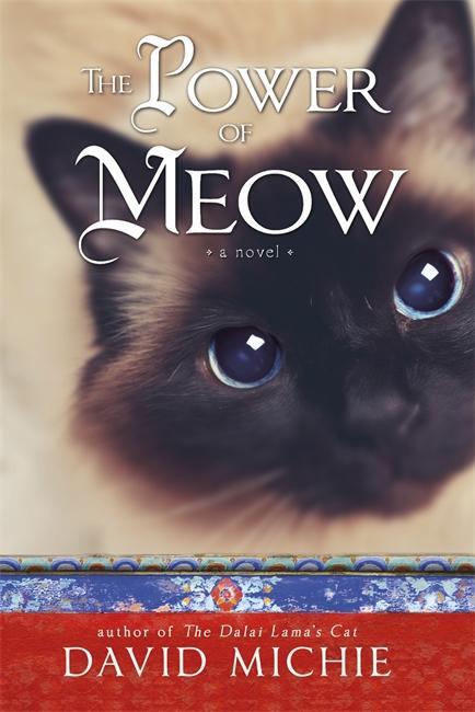 Cover: 9781781804070 | The Power of Meow | David Michie | Taschenbuch | Englisch | 2015