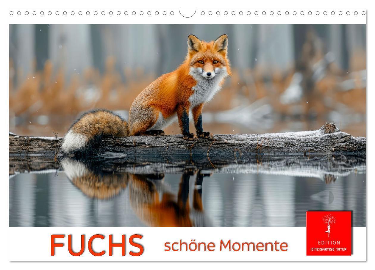 Cover: 9783383815157 | Fuchs - schöne Momente (Wandkalender 2025 DIN A3 quer), CALVENDO...