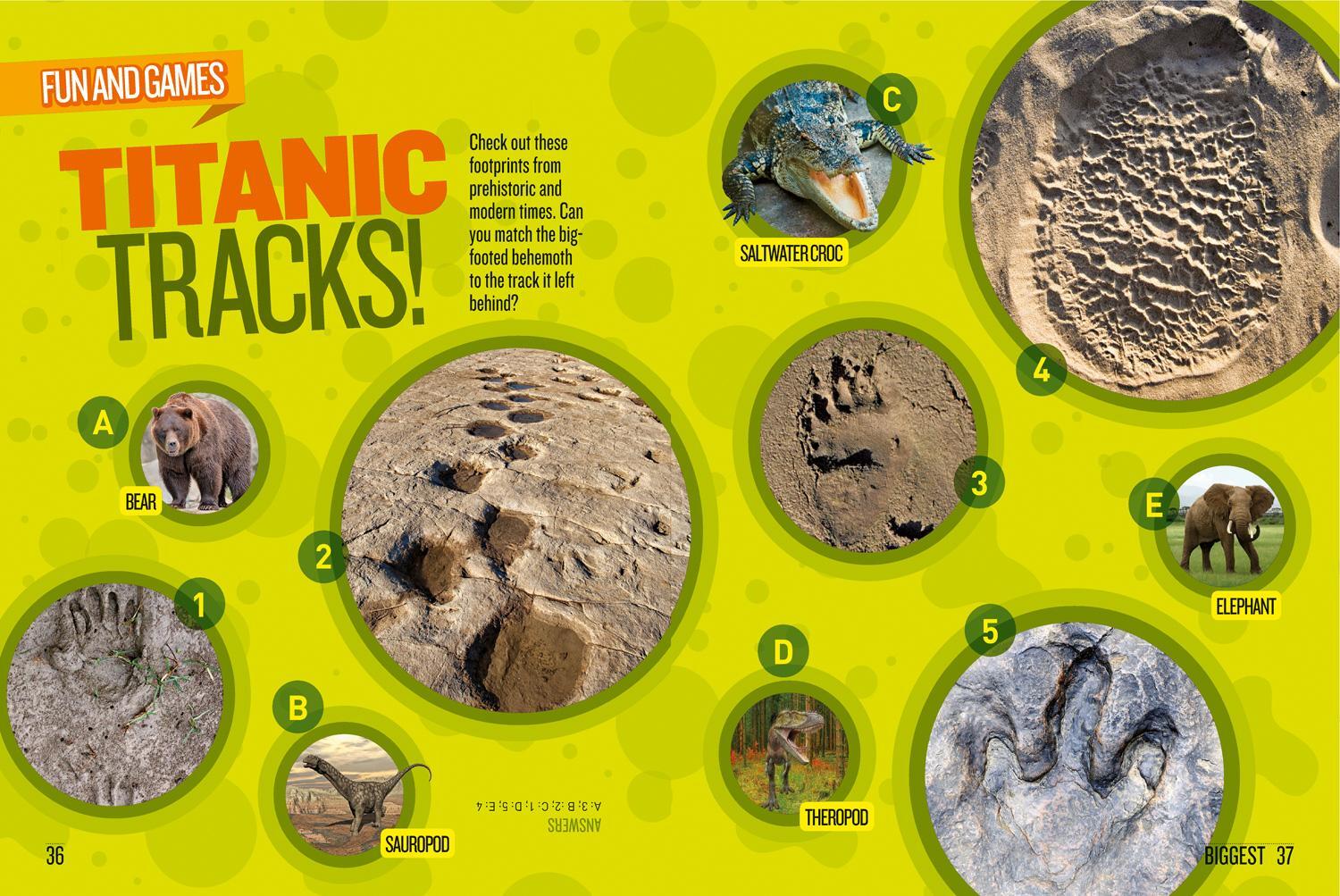 Bild: 9781426327940 | Dino Records | National Geographic Kids | Taschenbuch | Dinosaurs