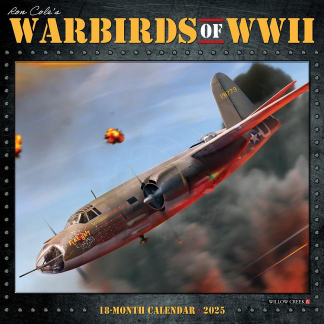 Cover: 9781549245282 | Warbirds of WWII 2025 12 X 12 Wall Calendar | Willow Creek Press