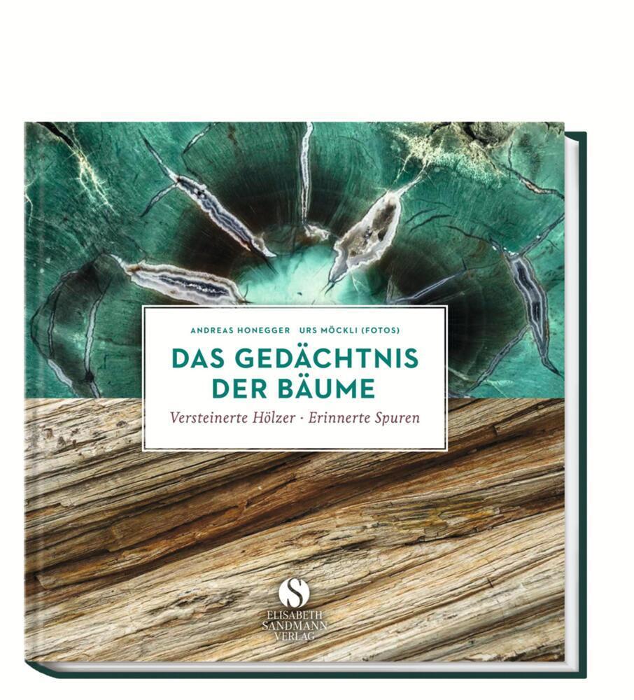 Cover: 9783945543429 | Das Gedächtnis der Bäume | Versteinerte Hölzer - erinnerte Spuren