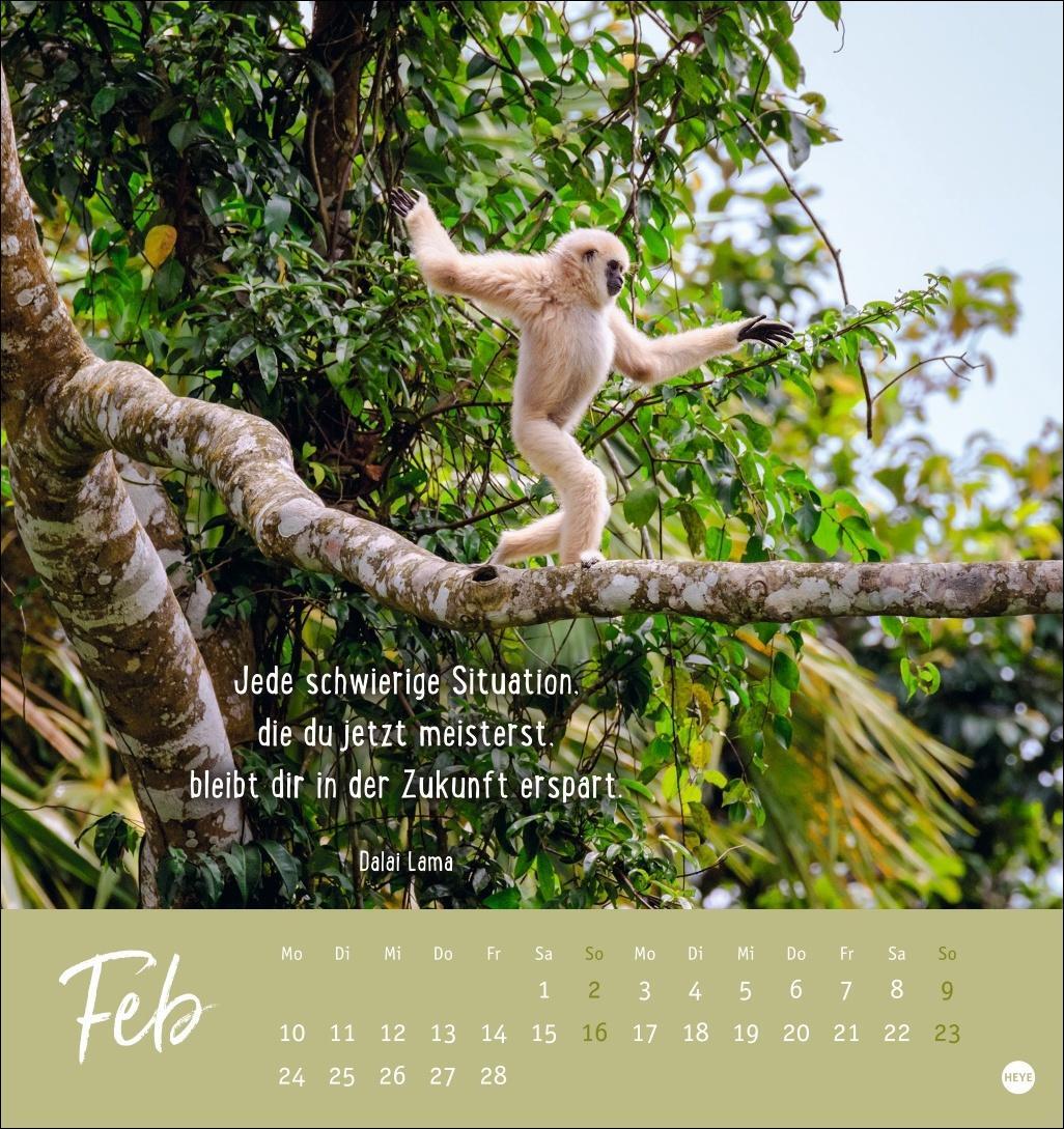 Bild: 9783756407132 | Never give up! Postkartenkalender 2025 | Heye | Kalender | 13 S.
