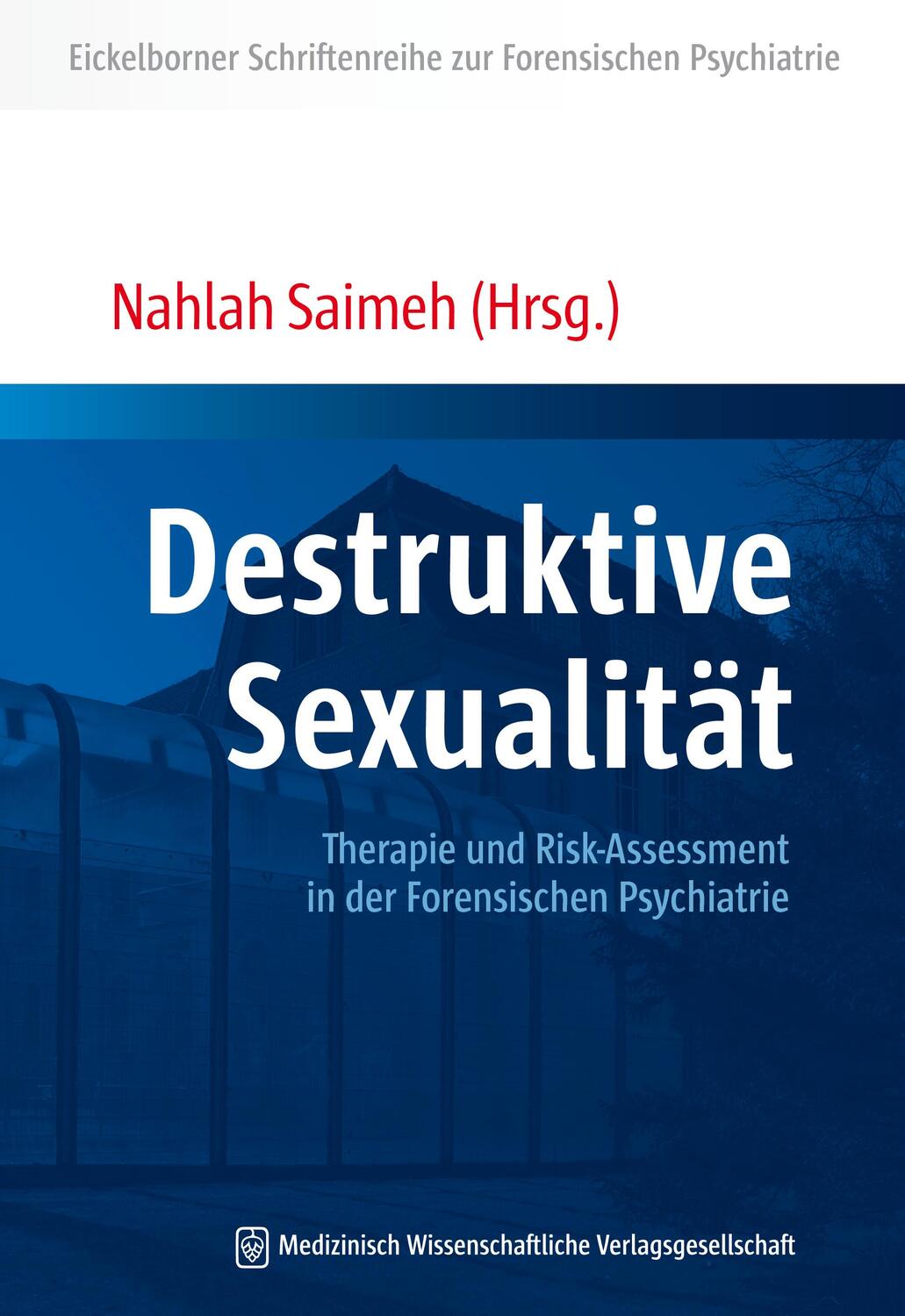Cover: 9783954664139 | Destruktive Sexualität | Nahlah Saimeh | Taschenbuch | Deutsch | 2018