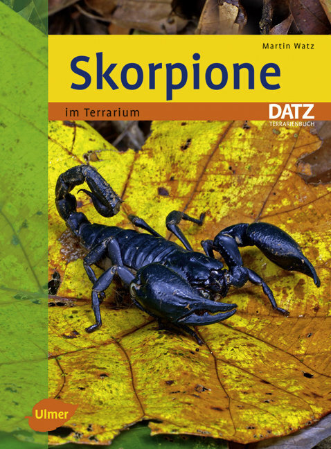Cover: 9783800156580 | Skorpione | im Terrarium | Martin Watz | Taschenbuch | 125 S. | 2008