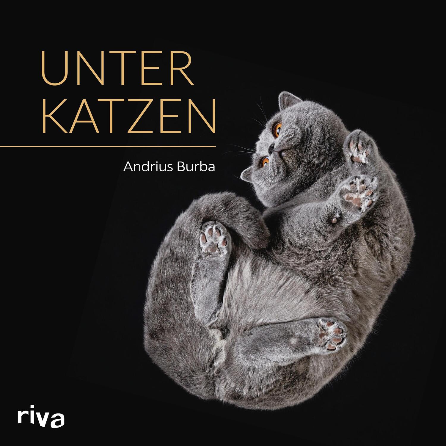 Cover: 9783868839968 | Unter Katzen | Andrius Burba | Buch | Deutsch | 2016 | riva