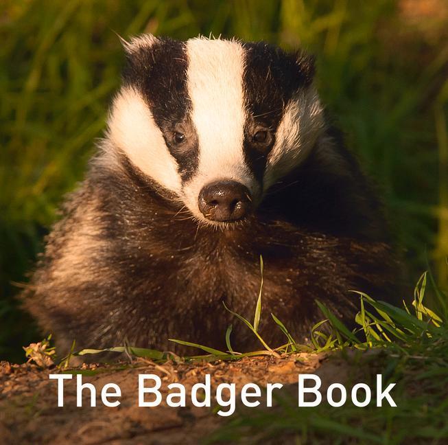 Cover: 9781913634209 | The Badger Book | Jo Byrne | Buch | The Nature Book Series | Gebunden