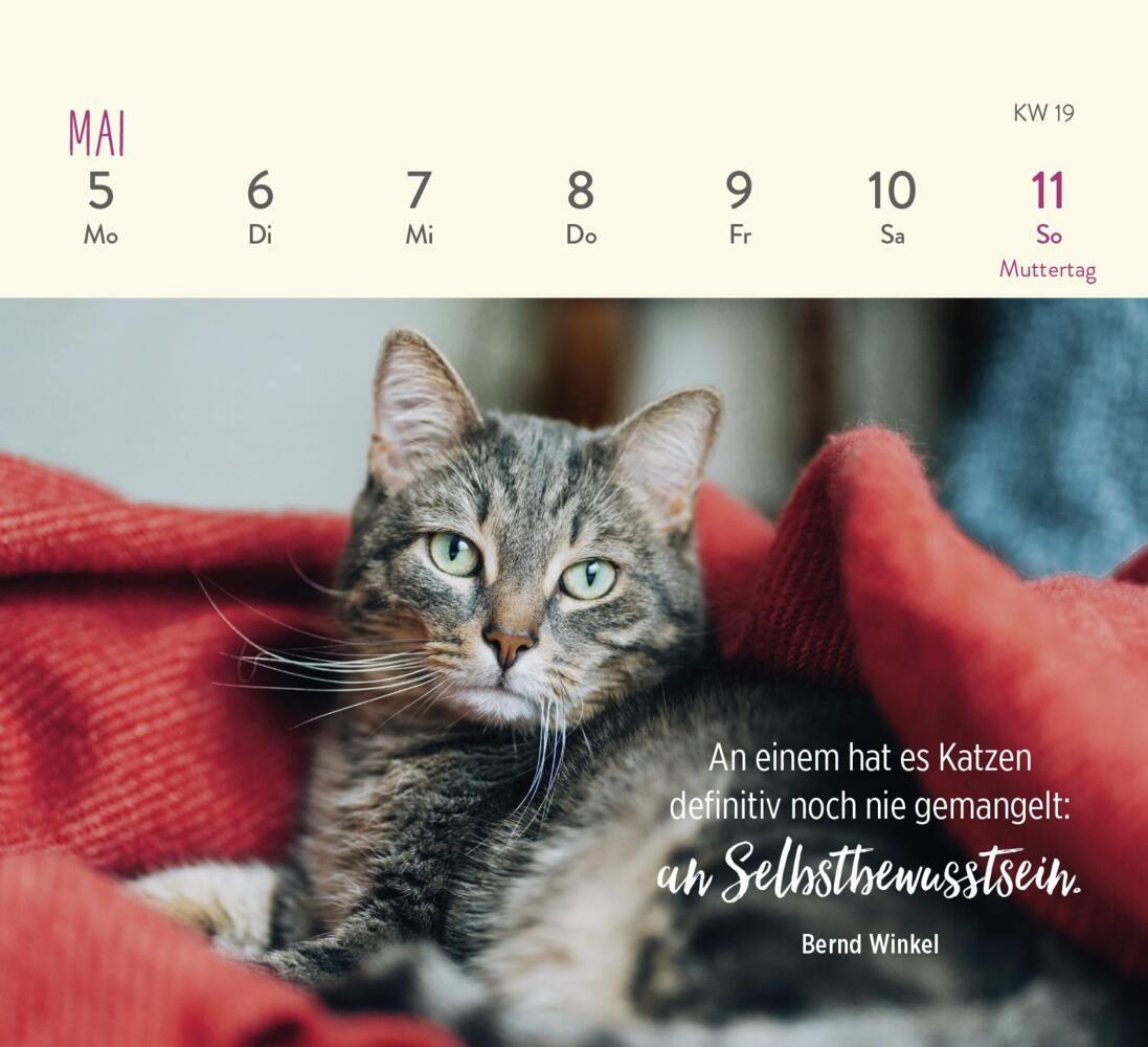 Bild: 4036442011935 | Mini-Wochenkalender 2025: Für Katzenfreunde | Groh Verlag | Kalender