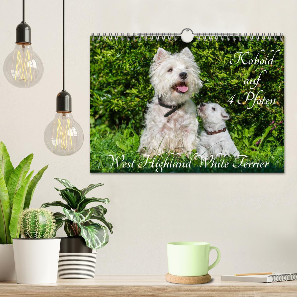 Bild: 9783435463060 | Kobold auf 4 Pfoten - West Highland White Terrier (Wandkalender...