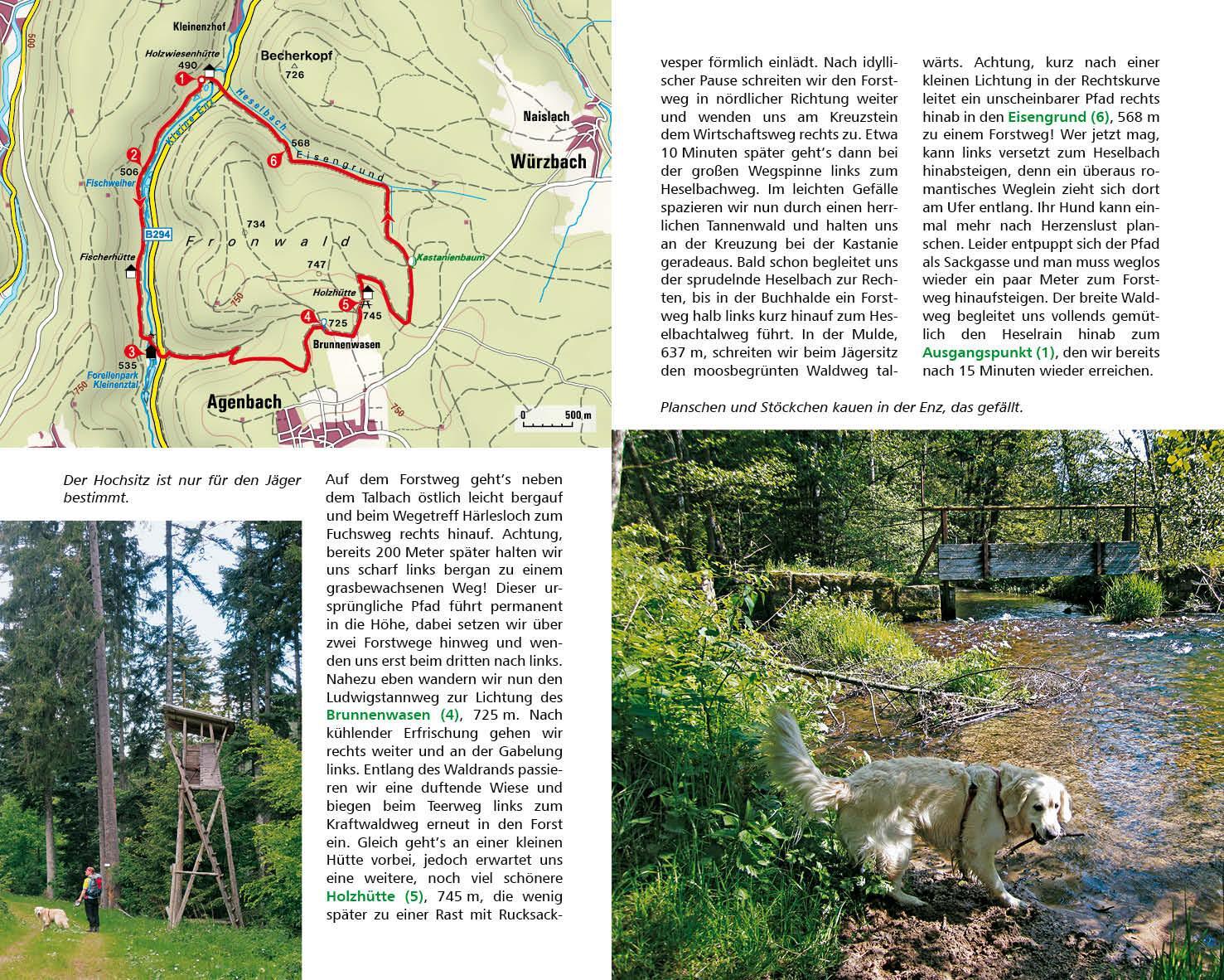 Bild: 9783763333882 | Wandern mit Hund Schwarzwald | 42 Touren mit GPS-Tracks | Kuhnle