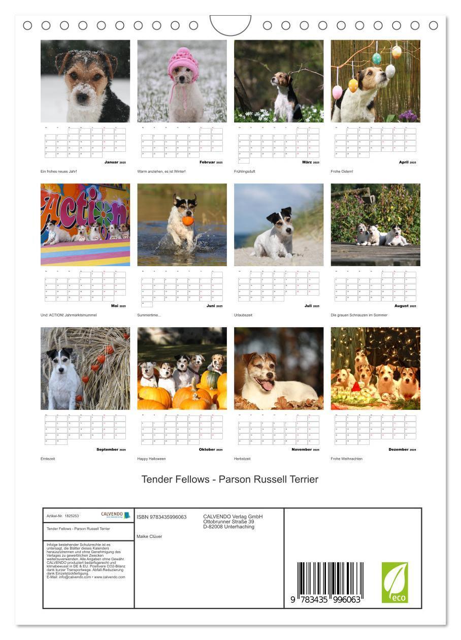 Bild: 9783435996063 | Tender Fellows - Parson Russell Terrier (Wandkalender 2025 DIN A4...