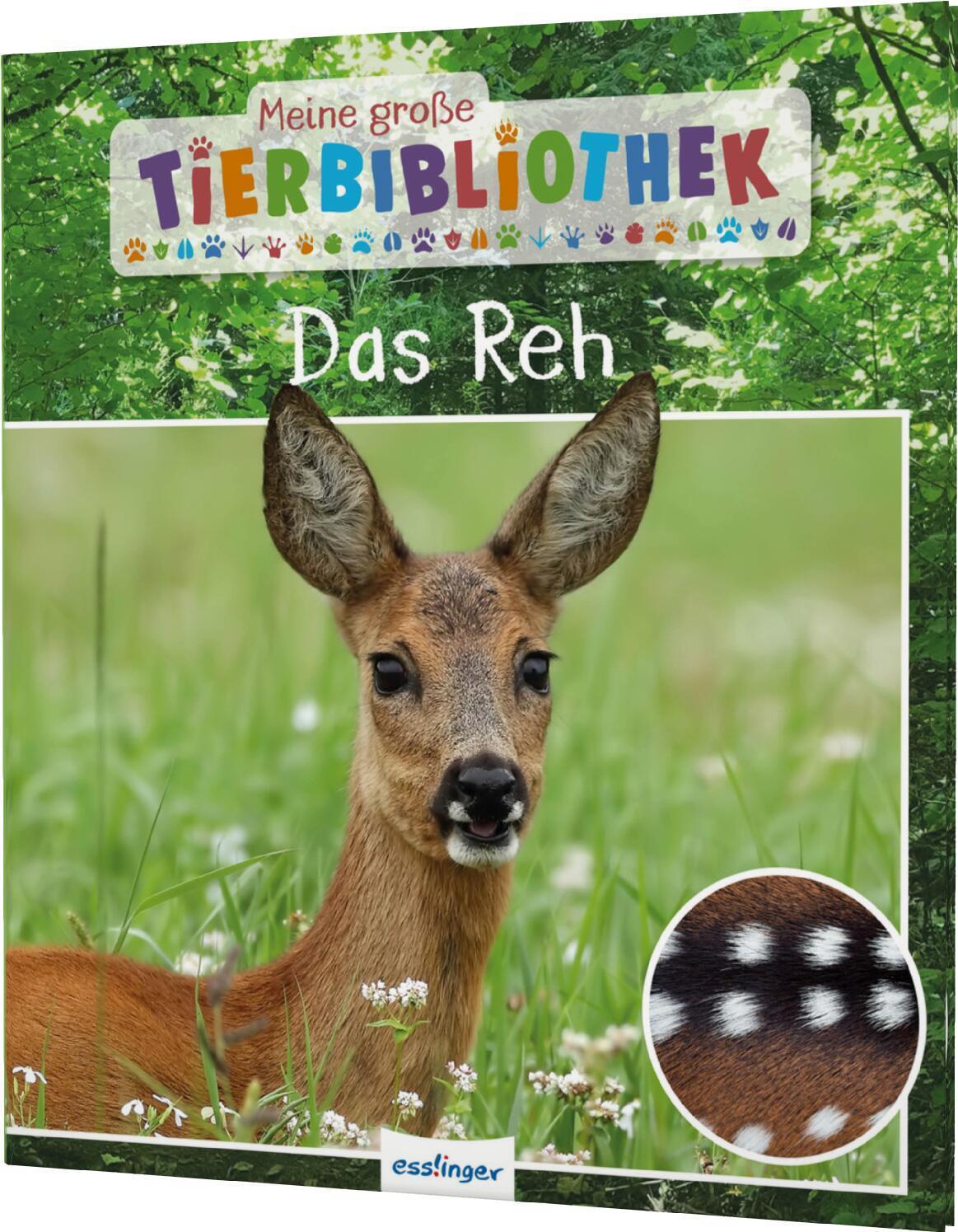 Cover: 9783480237753 | Meine große Tierbibliothek: Das Reh | Jens Poschadel | Buch | 32 S.