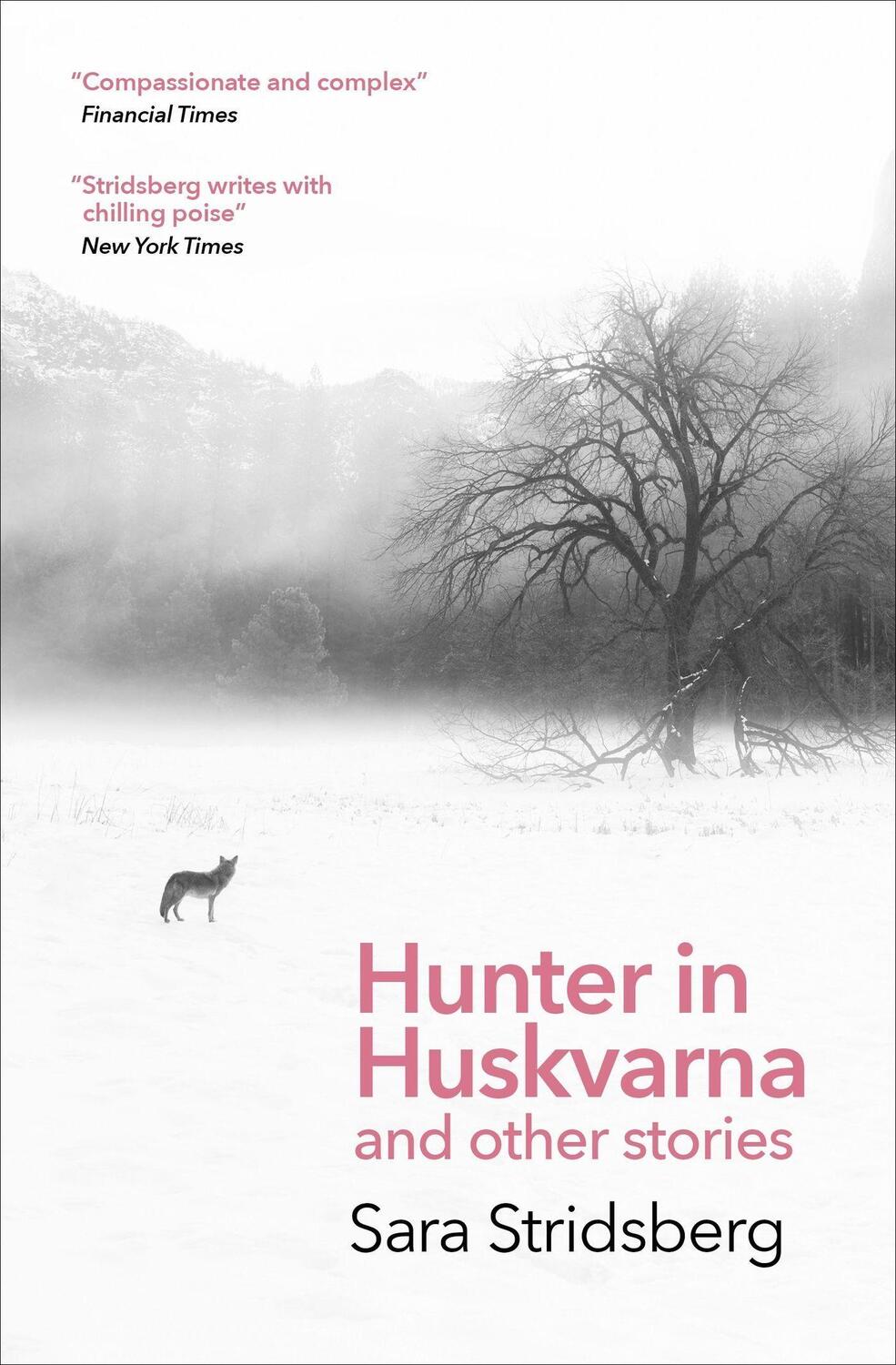 Cover: 9781529423266 | Hunter in Huskvarna | Sara Stridsberg | Taschenbuch | Englisch | 2024