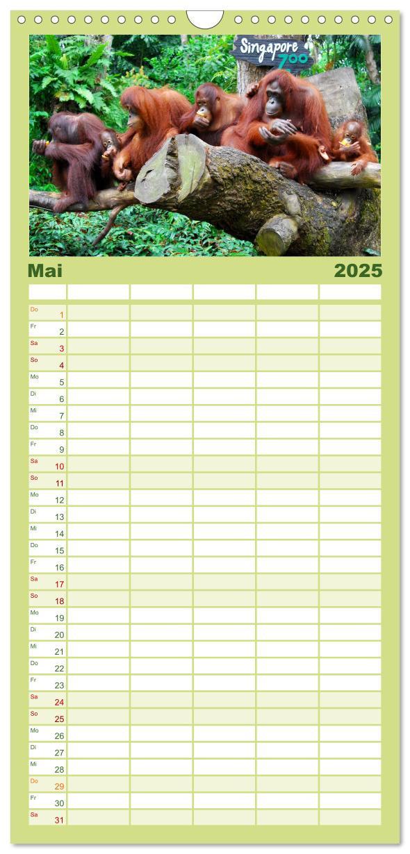 Bild: 9783457126585 | Familienplaner 2025 - Orang-Utans mit 5 Spalten (Wandkalender, 21 x...