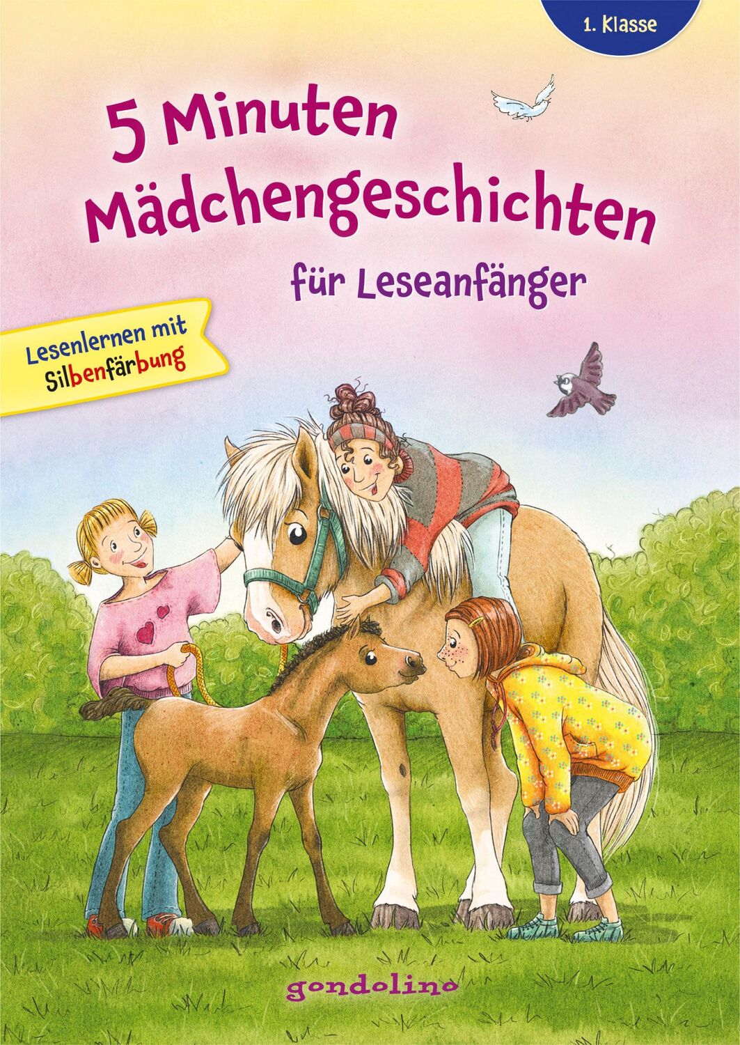 Cover: 9783811235168 | 5 Minuten Mädchengeschichten für Leseanfänger mit Silbenfärbung ab...