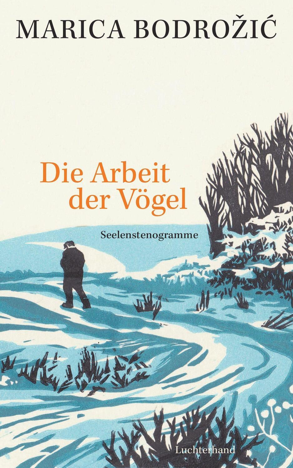 Cover: 9783630875941 | Die Arbeit der Vögel | Seelenstenogramme | Marica Bodrozic | Buch