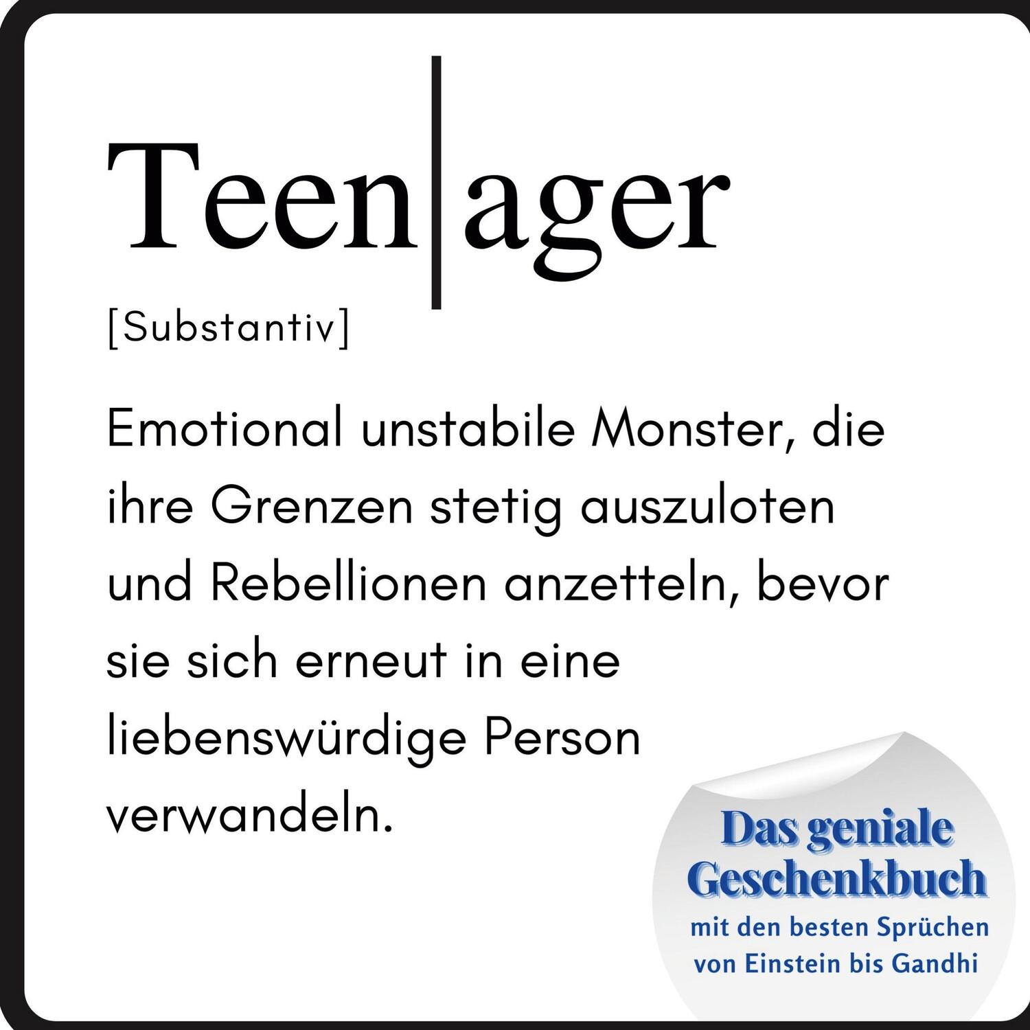 Cover: 9783750516847 | Teenager | Steffi Meier | Taschenbuch | Paperback | 82 S. | Deutsch