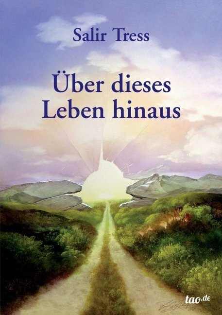 Cover: 9783955291129 | Über dieses Leben hinaus | Salir Tress | Taschenbuch | Paperback