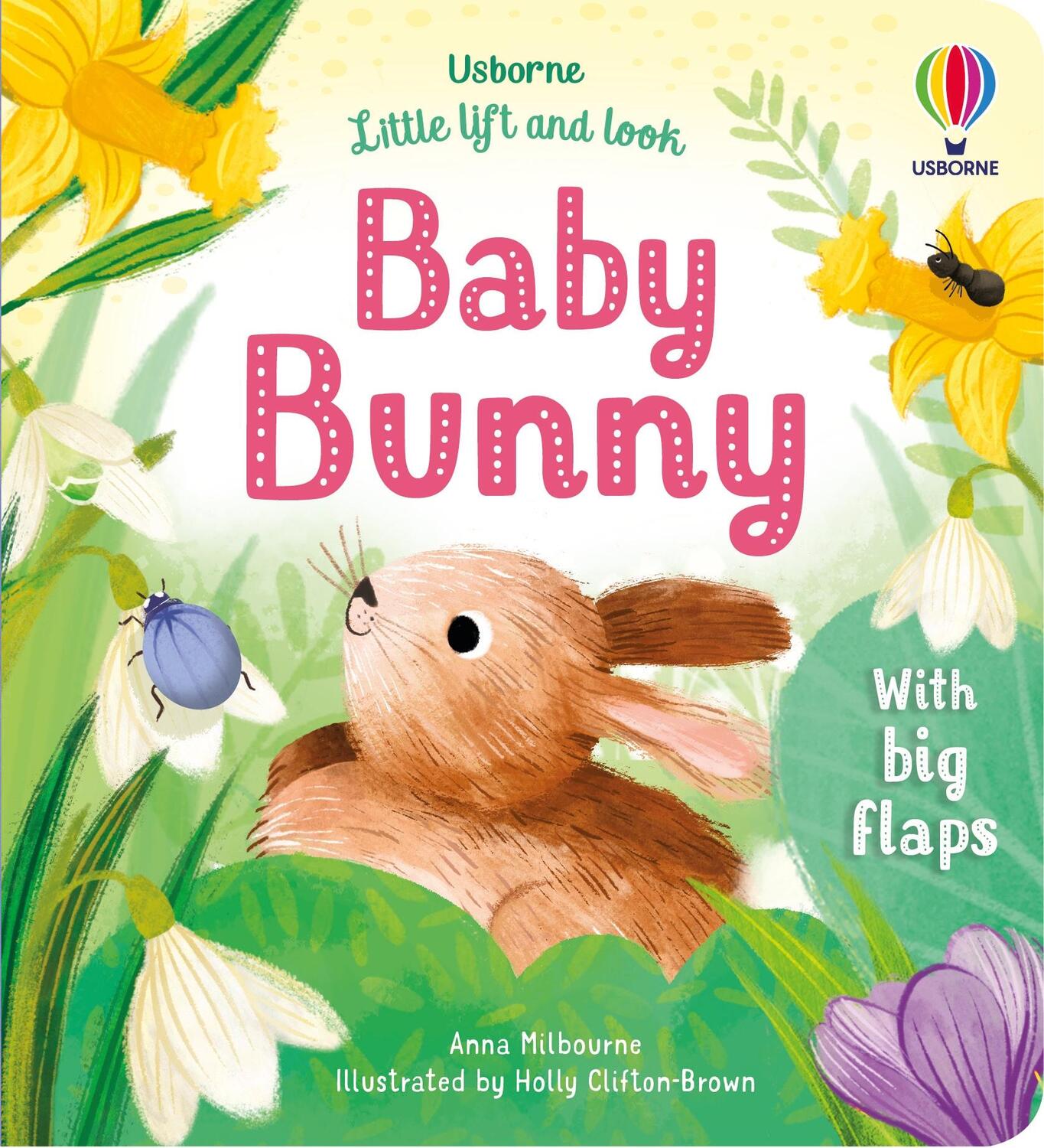 Cover: 9781803701653 | Little Lift and Look Baby Bunny | Anna Milbourne | Buch | Englisch