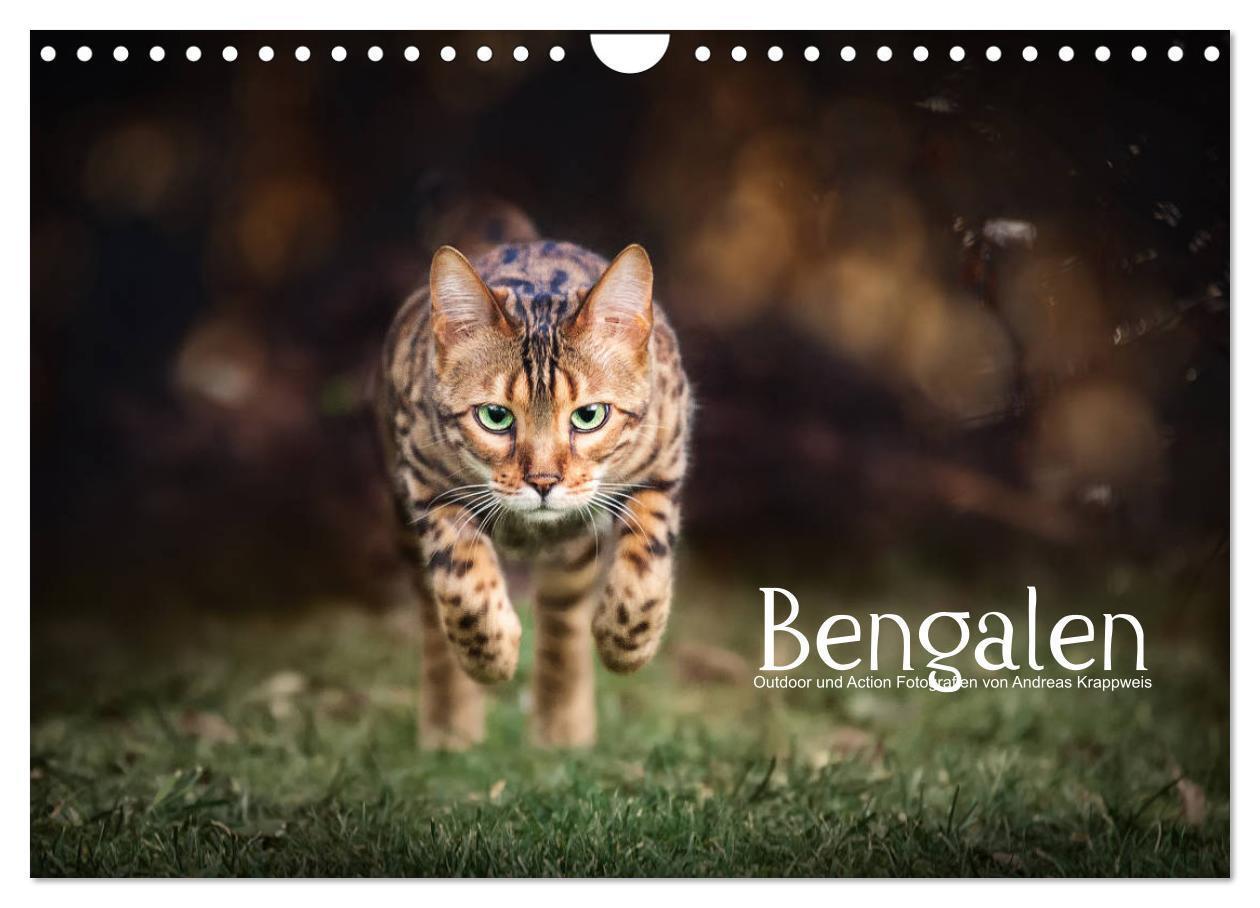 Cover: 9783675581326 | Bengalen Outdoor und Action (Wandkalender 2024 DIN A4 quer),...