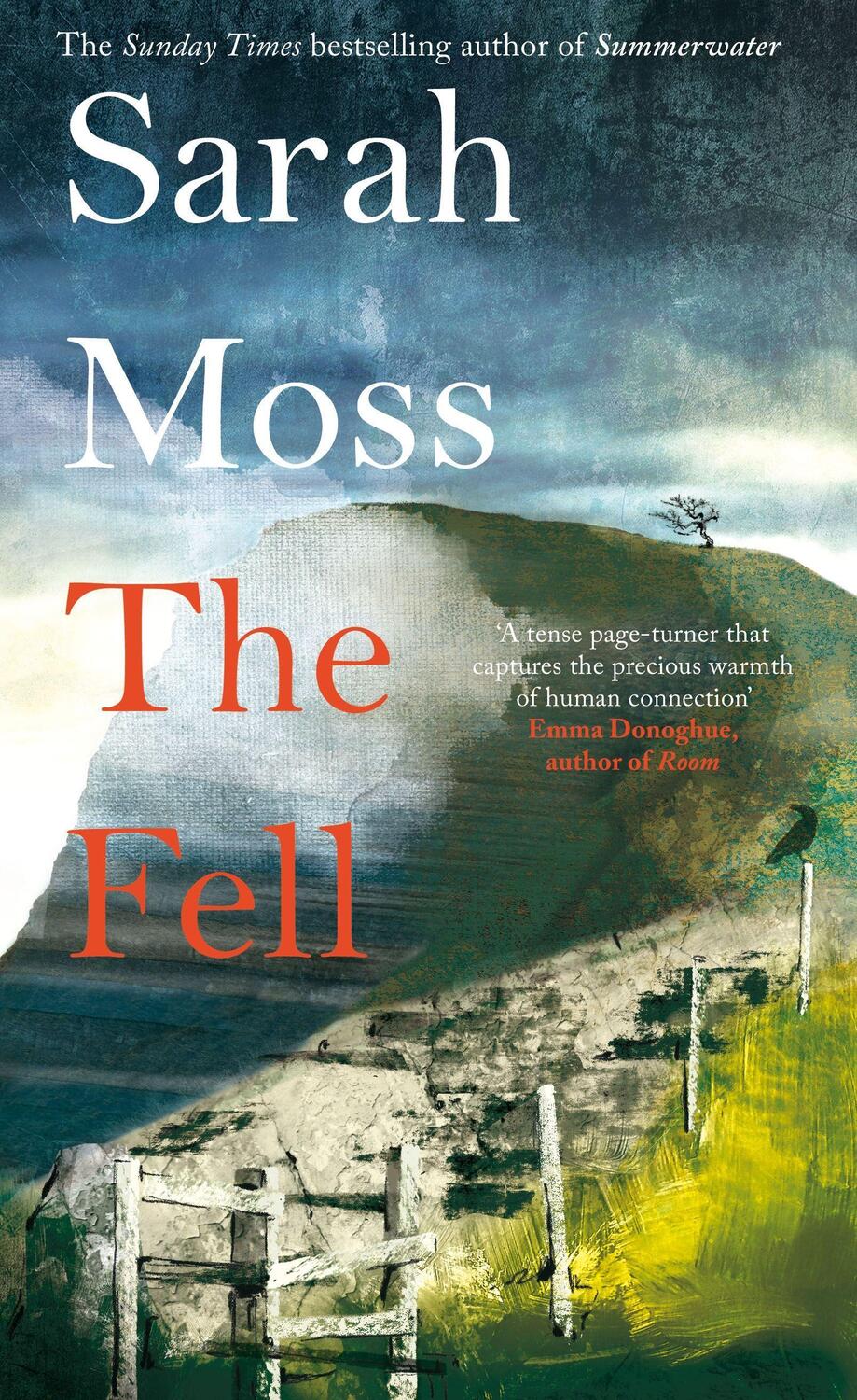 Cover: 9781529083224 | Moss, S: The Fell | Pan Macmillan | EAN 9781529083224