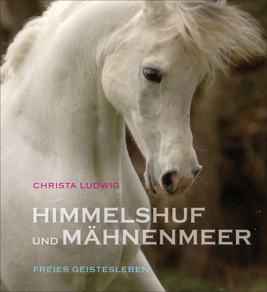 Cover: 9783772523670 | Himmelshuf und Mähnenmeer | Drei Pferde-Fotogeschichten. | Ludwig