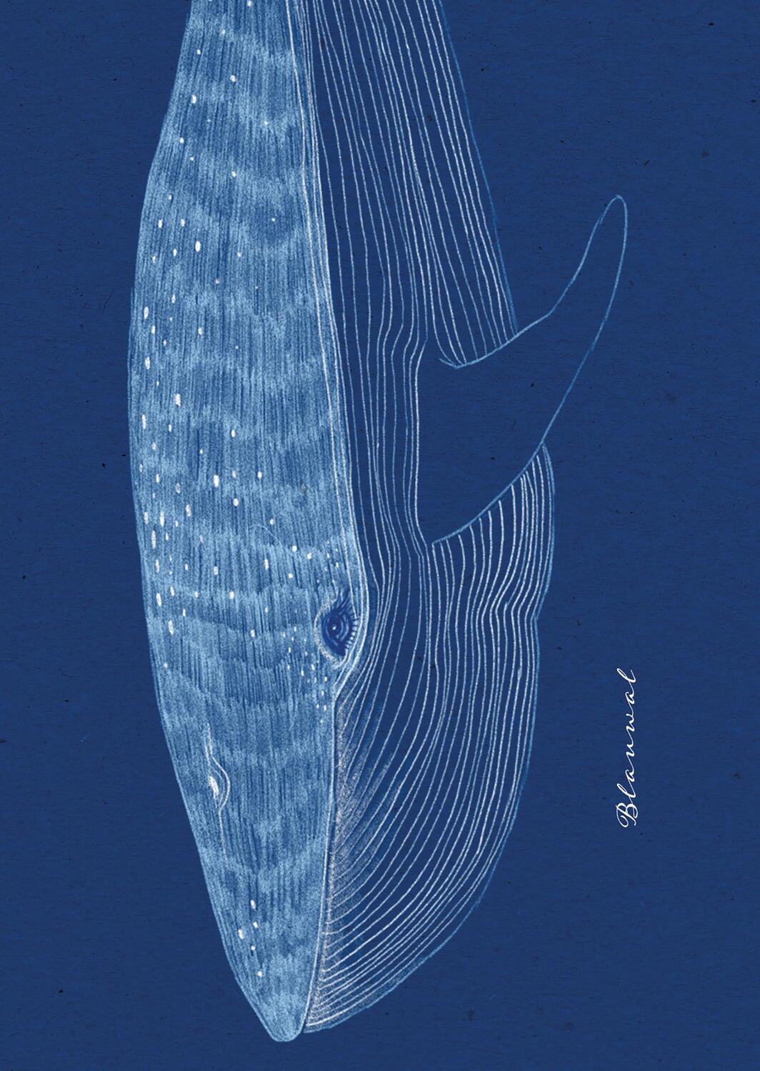 Bild: 4250222903504 | meer-verliebt "Fische" | 10 Postkarten aus Naturpapier | Anne Weigel