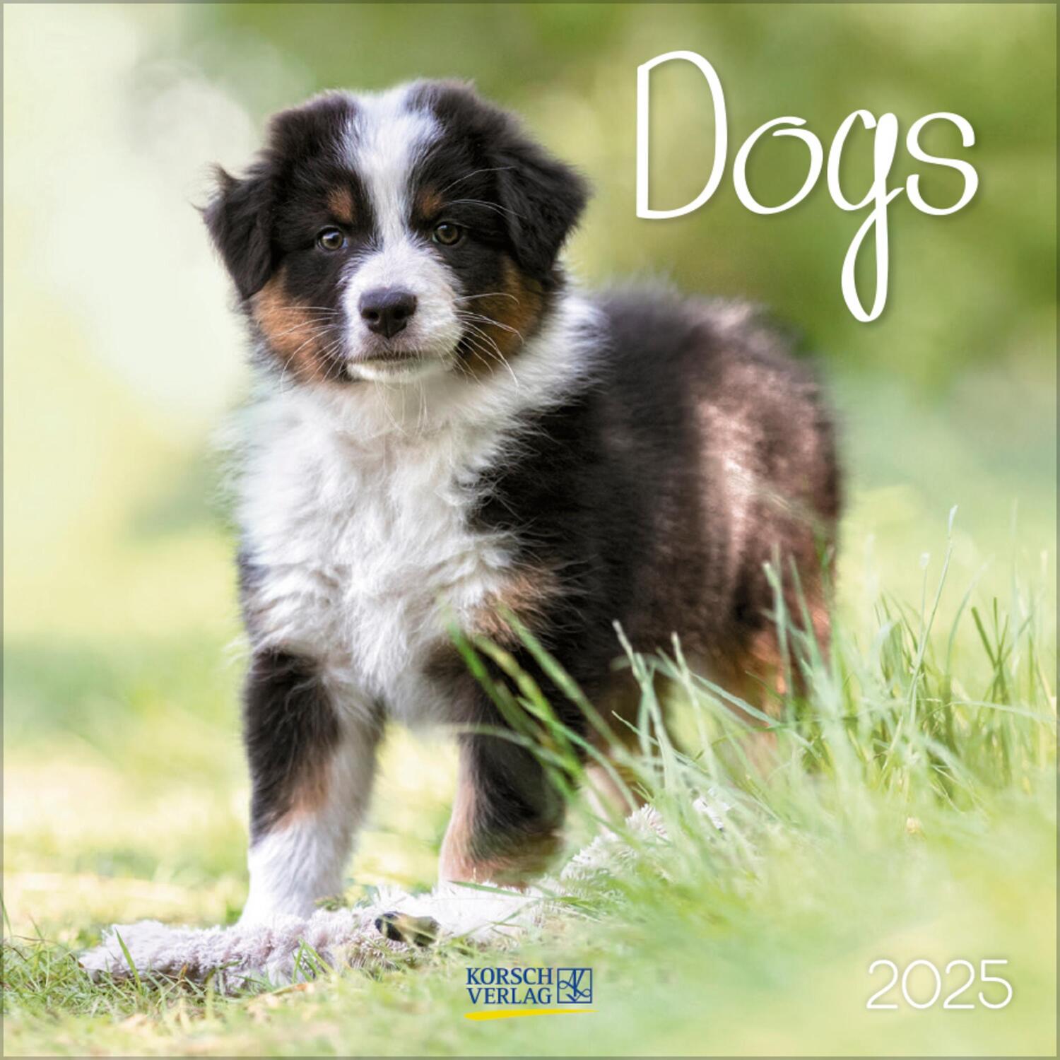 Cover: 9783731876366 | Dogs 2025 | Verlag Korsch | Kalender | 13 S. | Deutsch | 2025
