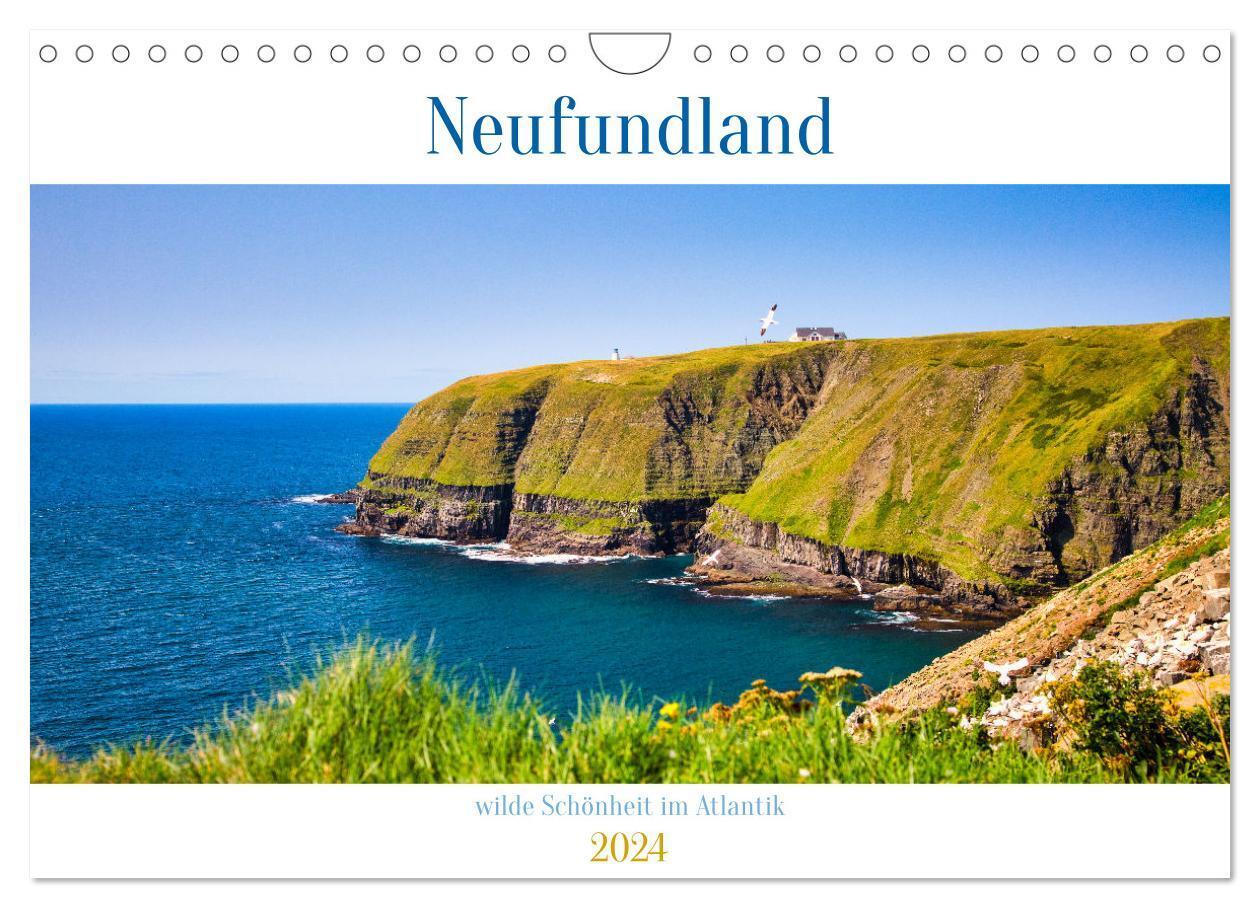 Cover: 9783383732751 | Neufundland - wilde Schönheit im Atlantik (Wandkalender 2024 DIN A4...
