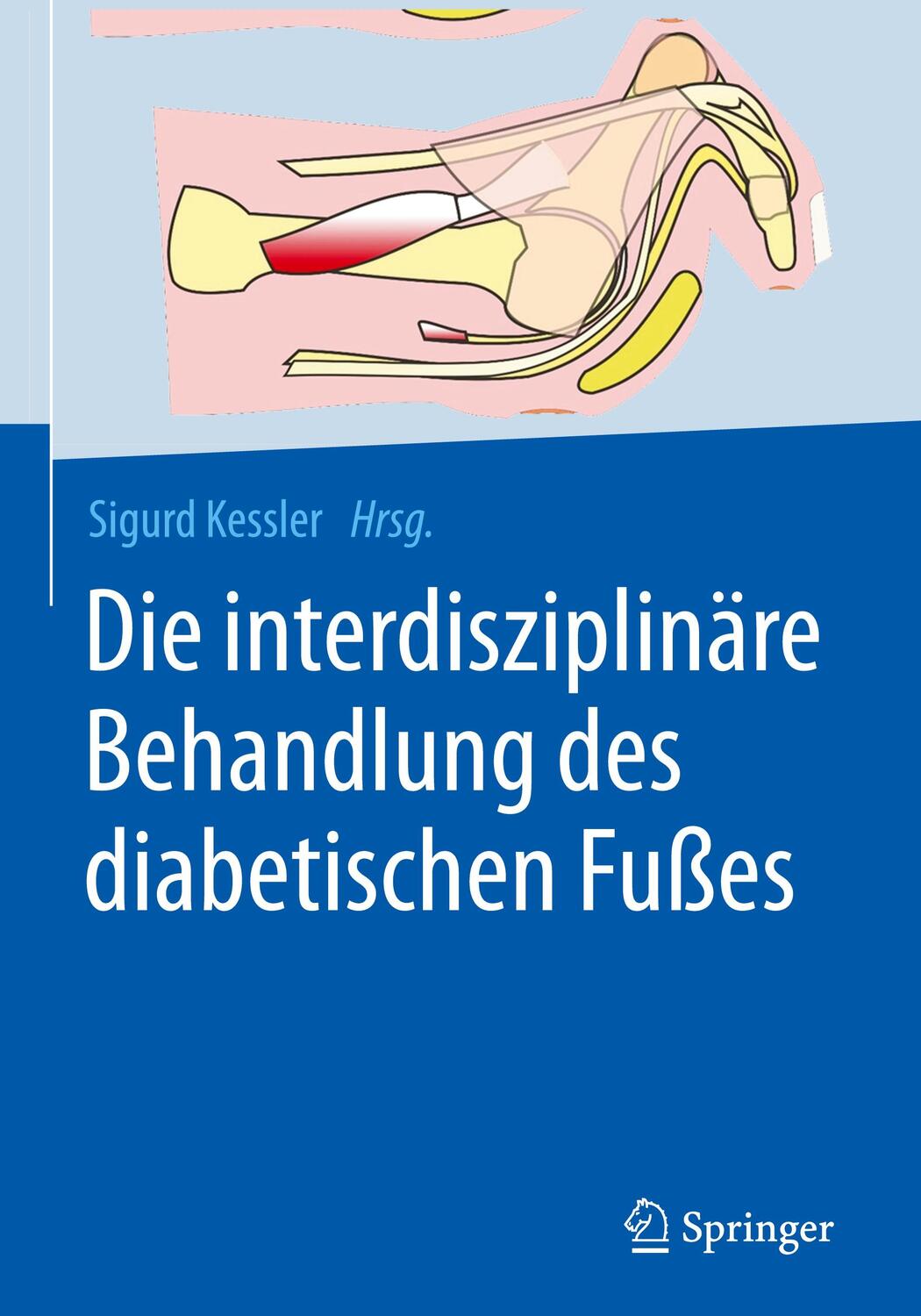 Cover: 9783662631188 | Die interdisziplinäre Behandlung des diabetischen Fußes | Buch | XXII