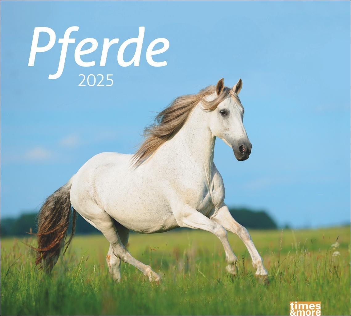 Cover: 9783756406890 | Pferde Bildkalender 2025 | Kalender | times&amp;more Kalender Heye | 14 S.