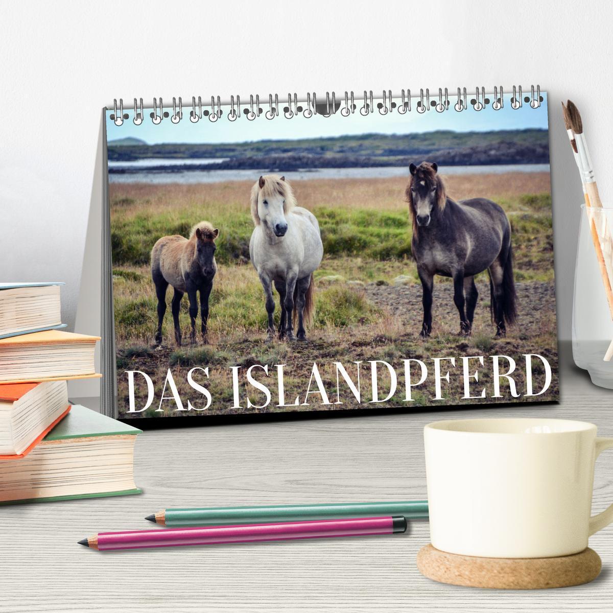 Bild: 9783435070893 | Das Islandpferd (Tischkalender 2025 DIN A5 quer), CALVENDO...