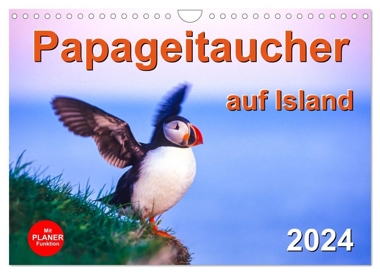 Cover: 9783675609402 | Papageitaucher auf Island (Wandkalender 2024 DIN A4 quer), CALVENDO...