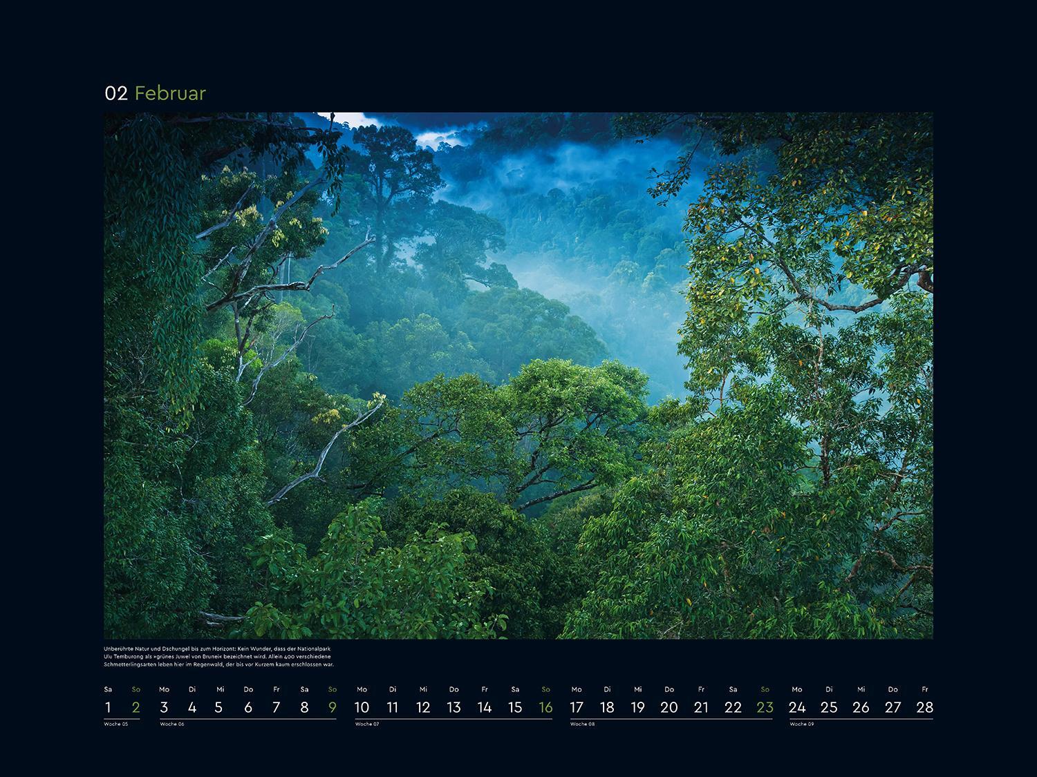 Bild: 9783965913356 | Magische Wälder - KUNTH Wandkalender 2025 | Kalender | 14 S. | Deutsch