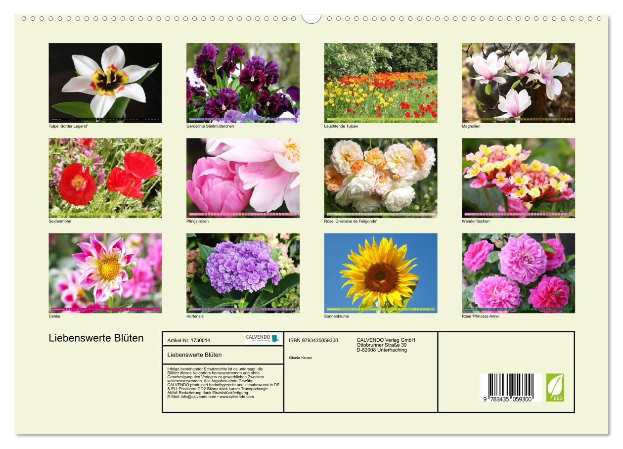 Bild: 9783435059300 | Liebenswerte Blüten (Wandkalender 2025 DIN A2 quer), CALVENDO...