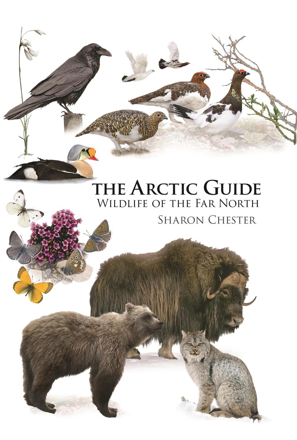 Cover: 9780691139753 | The Arctic Guide | Wildlife of the Far North | Sharon Chester | Buch