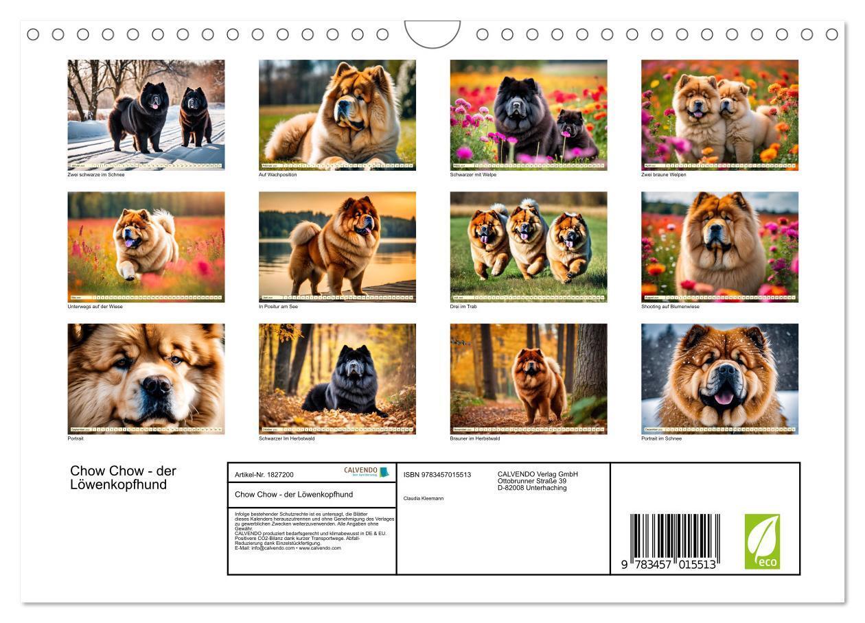 Bild: 9783457015513 | Chow Chow - der Löwenkopfhund (Wandkalender 2025 DIN A4 quer),...